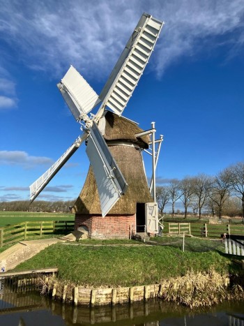 Molen